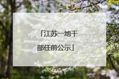 江苏一地干部任前公示