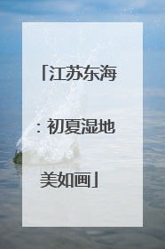 江苏东海：初夏湿地美如画
