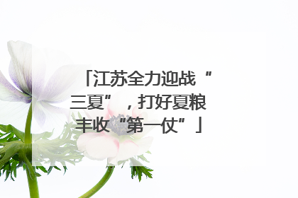 江苏全力迎战“三夏”，打好夏粮丰收“第一仗”