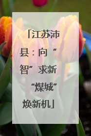 江苏沛县：向“智”求新“煤城”焕新机