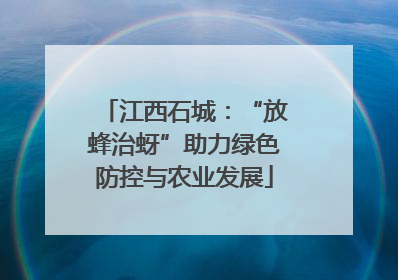 江西石城：“放蜂治蚜”助力绿色防控与农业发展