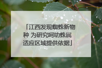 江西发现蜘蛛新物种 为研究呵叻蛛属适应区域提供依据
