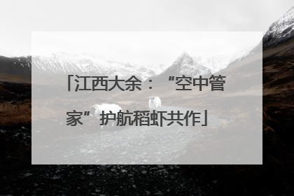 江西大余：“空中管家”护航稻虾共作