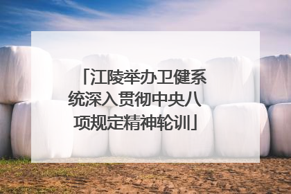 江陵举办卫健系统深入贯彻中央八项规定精神轮训