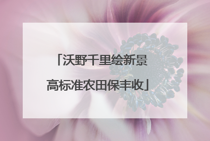 沃野千里绘新景 高标准农田保丰收