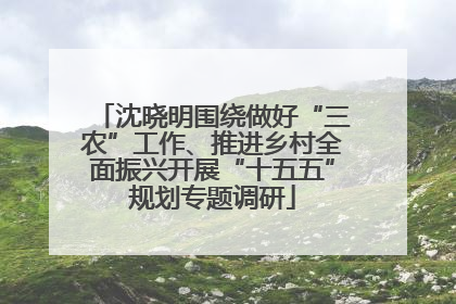 沈晓明围绕做好“三农”工作、推进乡村全面振兴开展“十五五”规划专题调研