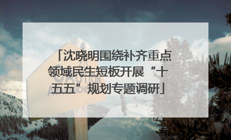 沈晓明围绕补齐重点领域民生短板开展“十五五”规划专题调研
