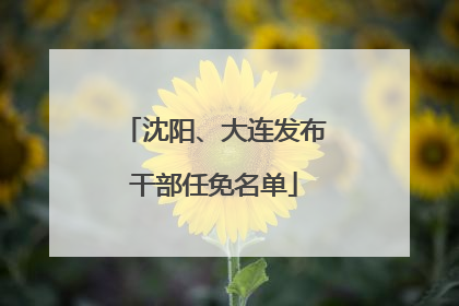 沈阳、大连发布干部任免名单