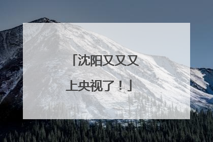 沈阳又又又上央视了！