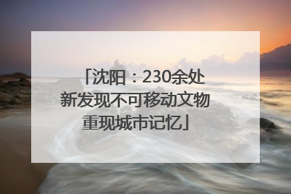 沈阳：230余处新发现不可移动文物重现城市记忆