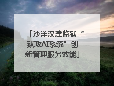 沙洋汉津监狱“狱政AI系统”创新管理服务效能