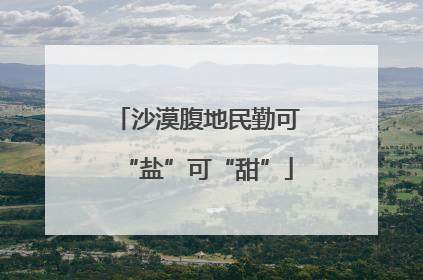 沙漠腹地民勤可“盐”可“甜”