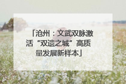 沧州：文武双脉激活“双遗之城”高质量发展新样本