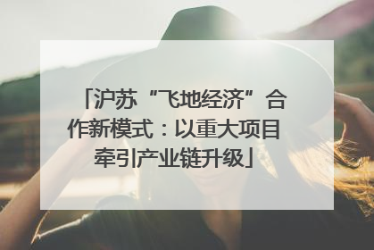沪苏“飞地经济”合作新模式：以重大项目牵引产业链升级