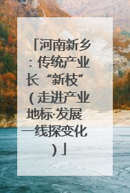 河南新乡：传统产业长“新枝”（走进产业地标·发展一线探变化）