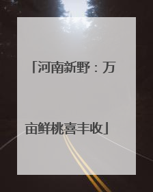 河南新野：万亩鲜桃喜丰收