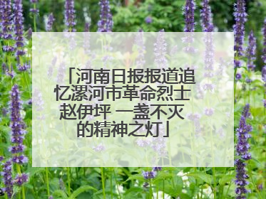 河南日报报道追忆漯河市革命烈士赵伊坪 一盏不灭的精神之灯