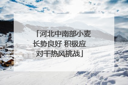 河北中南部小麦长势良好 积极应对干热风挑战