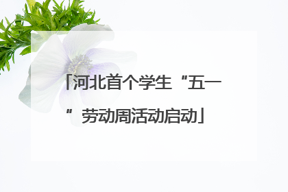 河北首个学生“五一”劳动周活动启动