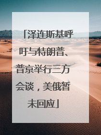 泽连斯基呼吁与特朗普、普京举行三方会谈，美俄暂未回应