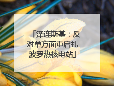 泽连斯基：反对单方面重启扎波罗热核电站
