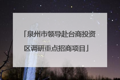 泉州市领导赴台商投资区调研重点招商项目