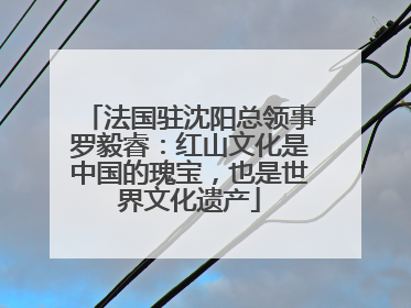 法国驻沈阳总领事罗毅睿：红山文化是中国的瑰宝，也是世界文化遗产