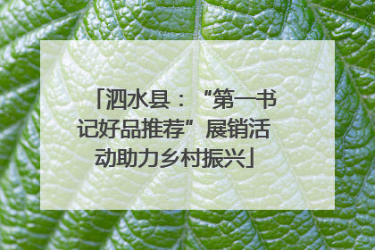 泗水县：“第一书记好品推荐”展销活动助力乡村振兴