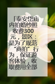 泰安岱庙内拍婚纱照收费300元，景区：是为了规范“商拍”行为，保证游客体验，收取费用全部上交国库