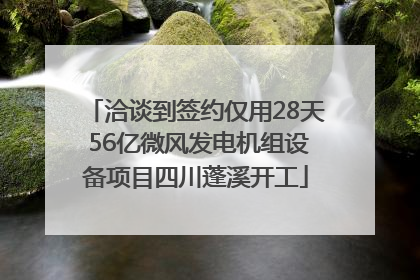 洽谈到签约仅用28天 56亿微风发电机组设备项目四川蓬溪开工