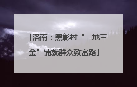 洛南：黑彰村“一地三金”铺就群众致富路