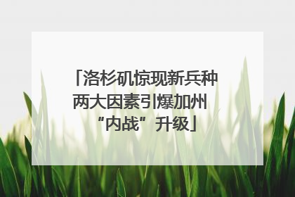 洛杉矶惊现新兵种 两大因素引爆加州“内战”升级