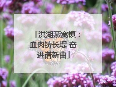 洪湖燕窝镇：血肉铸长堤 奋进谱新曲