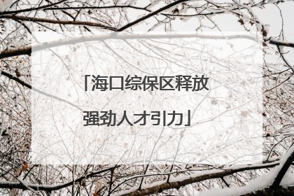 海口综保区释放强劲人才引力