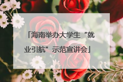 海南举办大学生“就业引航”示范宣讲会