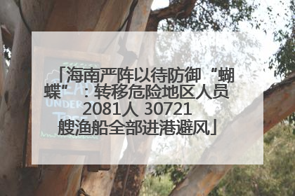 海南严阵以待防御“蝴蝶”：转移危险地区人员2081人 30721艘渔船全部进港避风