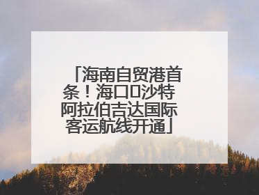 海南自贸港首条！海口⇌沙特阿拉伯吉达国际客运航线开通