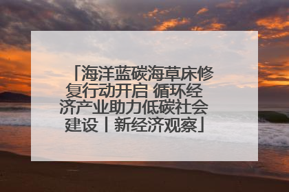 海洋蓝碳海草床修复行动开启 循环经济产业助力低碳社会建设丨新经济观察