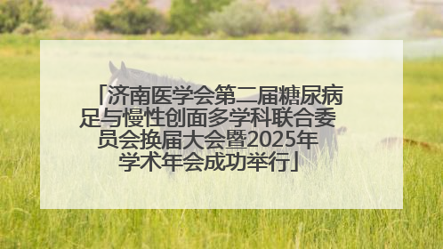 济南医学会第二届糖尿病足与慢性创面多学科联合委员会换届大会暨2025年学术年会成功举行