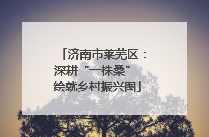 济南市莱芜区：深耕“一株桑” 绘就乡村振兴图