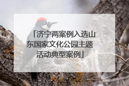 济宁两案例入选山东国家文化公园主题活动典型案例