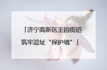 济宁高新区王因街道筑牢遗址“保护墙”