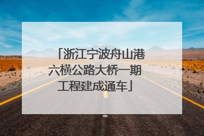 浙江宁波舟山港六横公路大桥一期工程建成通车