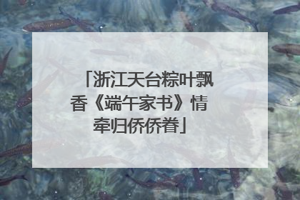 浙江天台粽叶飘香《端午家书》情牵归侨侨眷