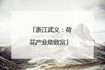 浙江武义：荷花产业助致富