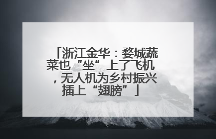 浙江金华：婺城蔬菜也“坐”上了飞机，无人机为乡村振兴插上“翅膀”