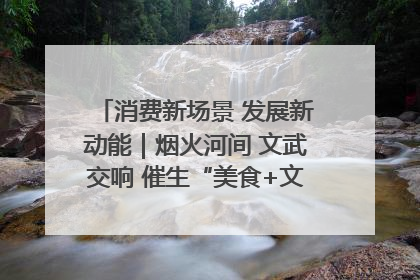 消费新场景 发展新动能｜烟火河间 文武交响 催生“美食+文化”消费新场景