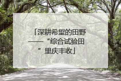 深耕希望的田野——“综合试验田”里庆丰收