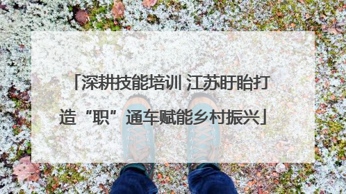 深耕技能培训 江苏盱眙打造“职”通车赋能乡村振兴