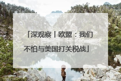 深观察丨欧盟：我们不怕与美国打关税战